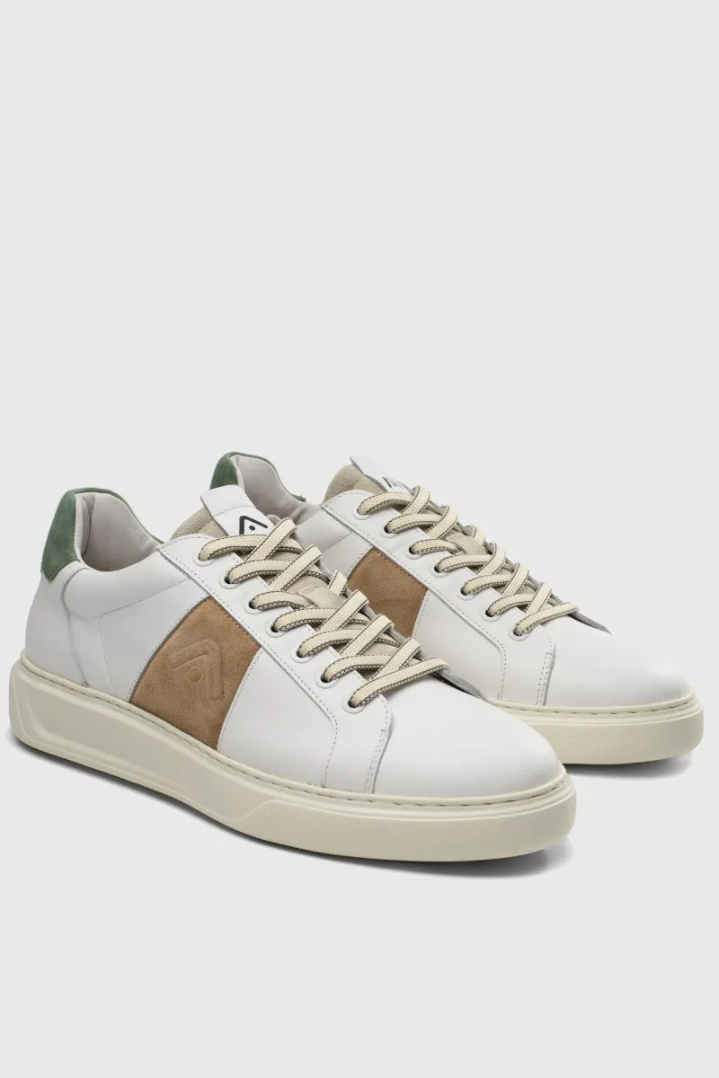 Ambitious Sneaker KIT