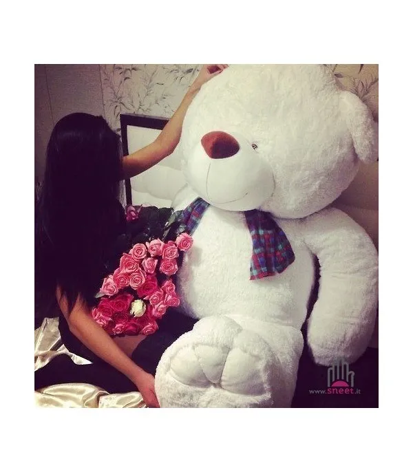 Teddy bear 200 cm