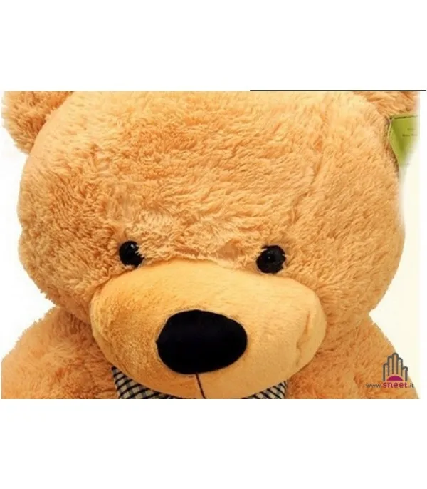Teddy bear 200 cm